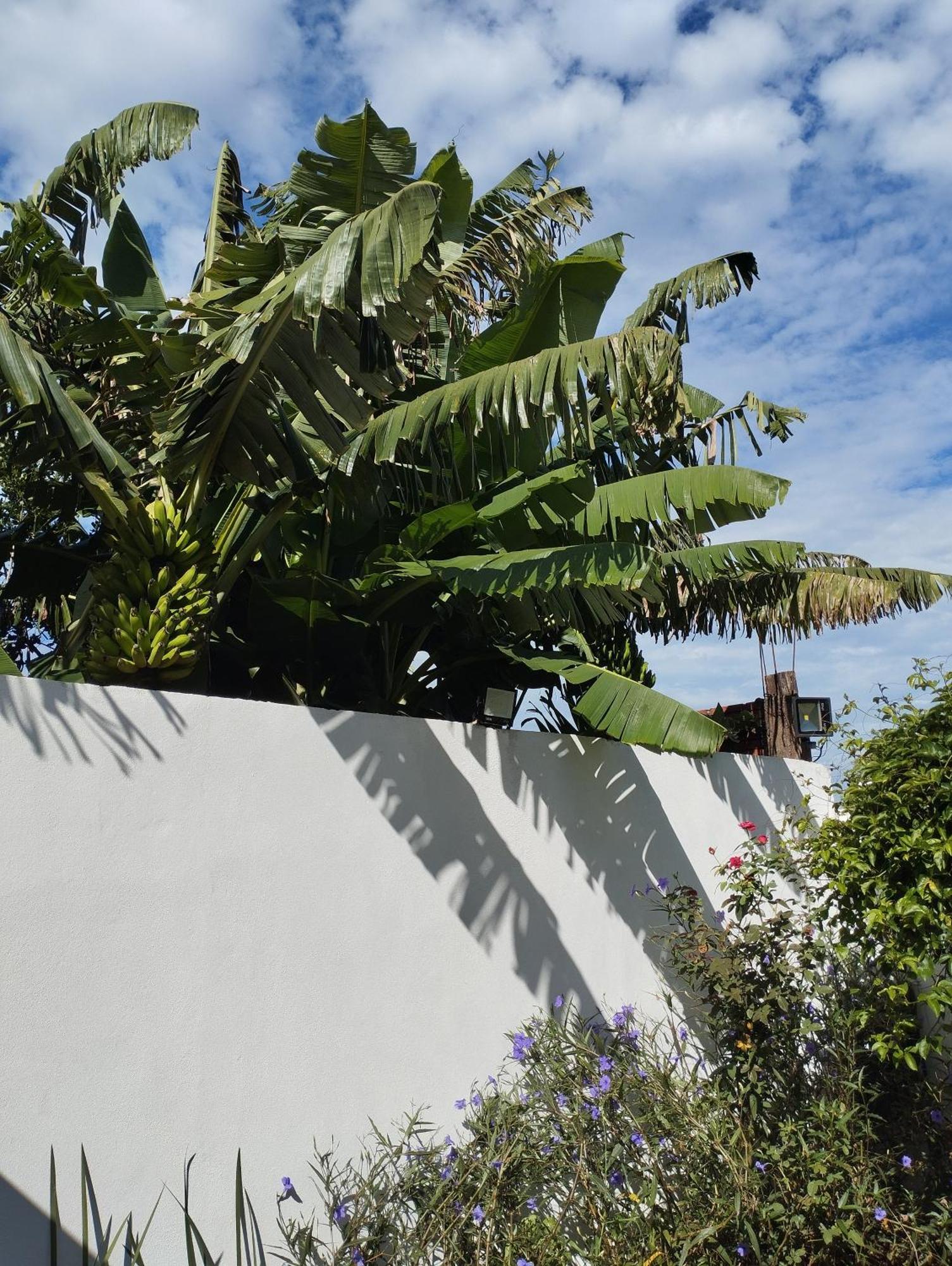 Brisas Iguazu Apartment Puerto Iguazu Exterior photo